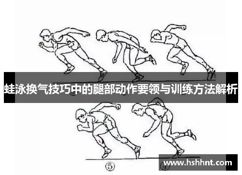 蛙泳换气技巧中的腿部动作要领与训练方法解析