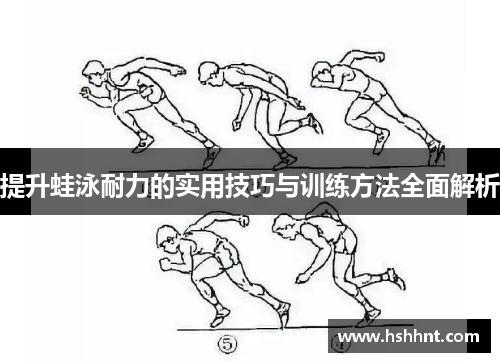 提升蛙泳耐力的实用技巧与训练方法全面解析
